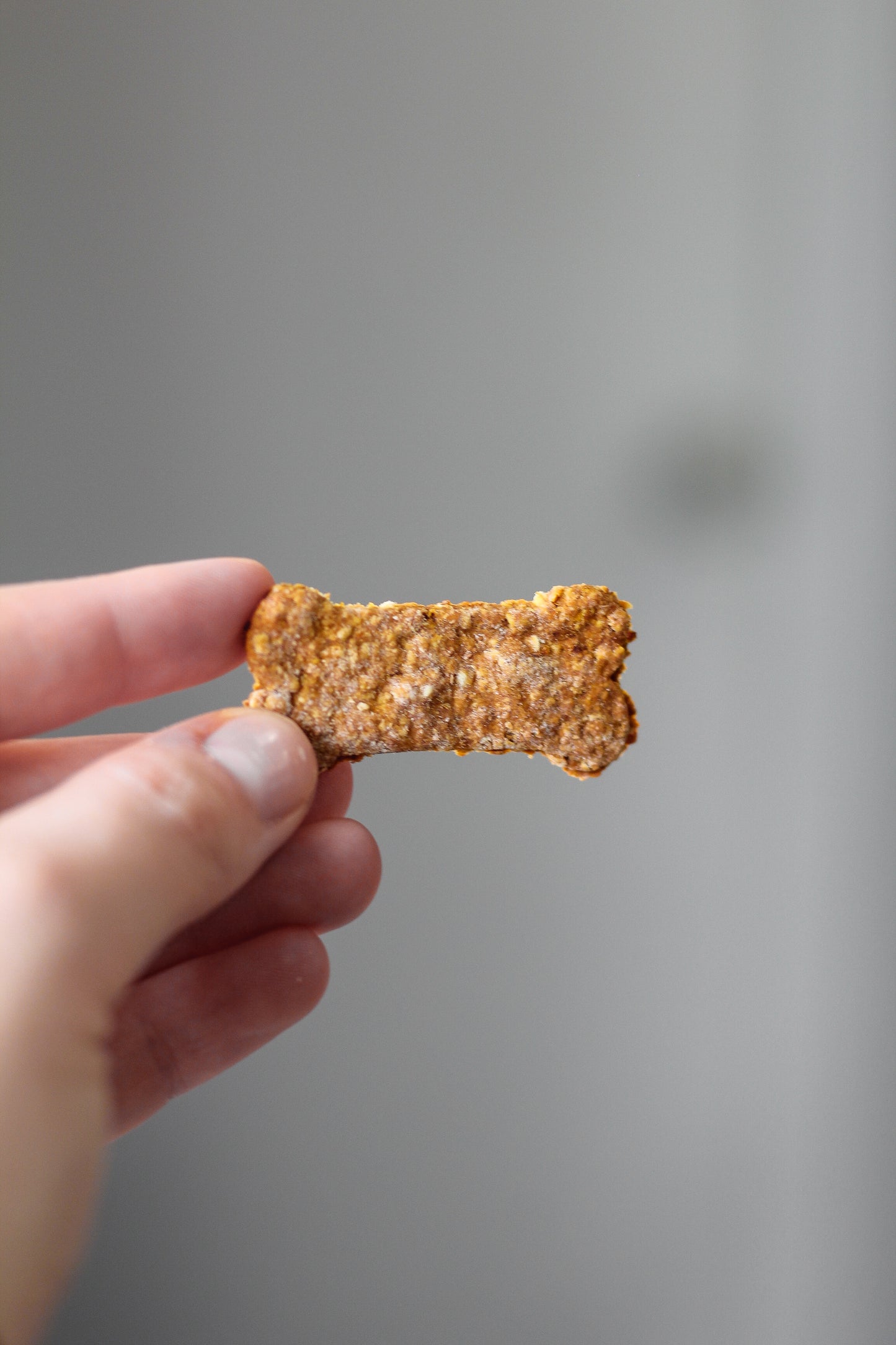 Cheddar Apple Pie Dog Treats